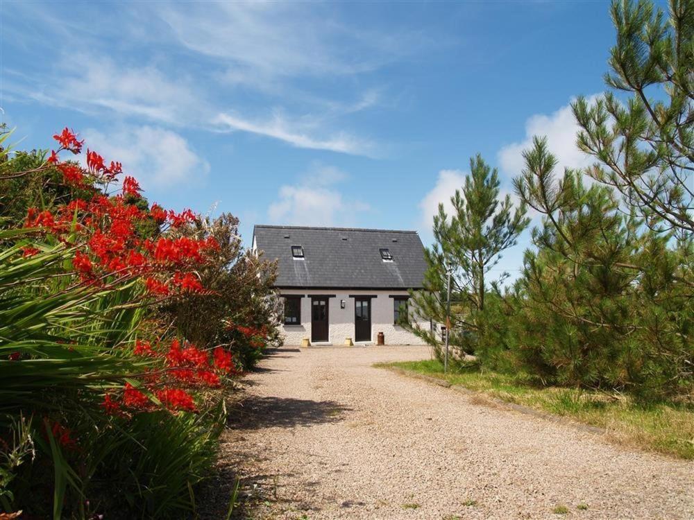Saint Dogmaels Cockshead Cottage מראה חיצוני תמונה
